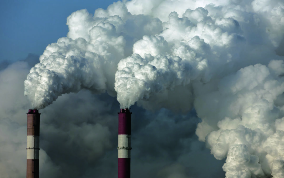 Reversing Climate Change by Pulling Carbon Out of the Air
