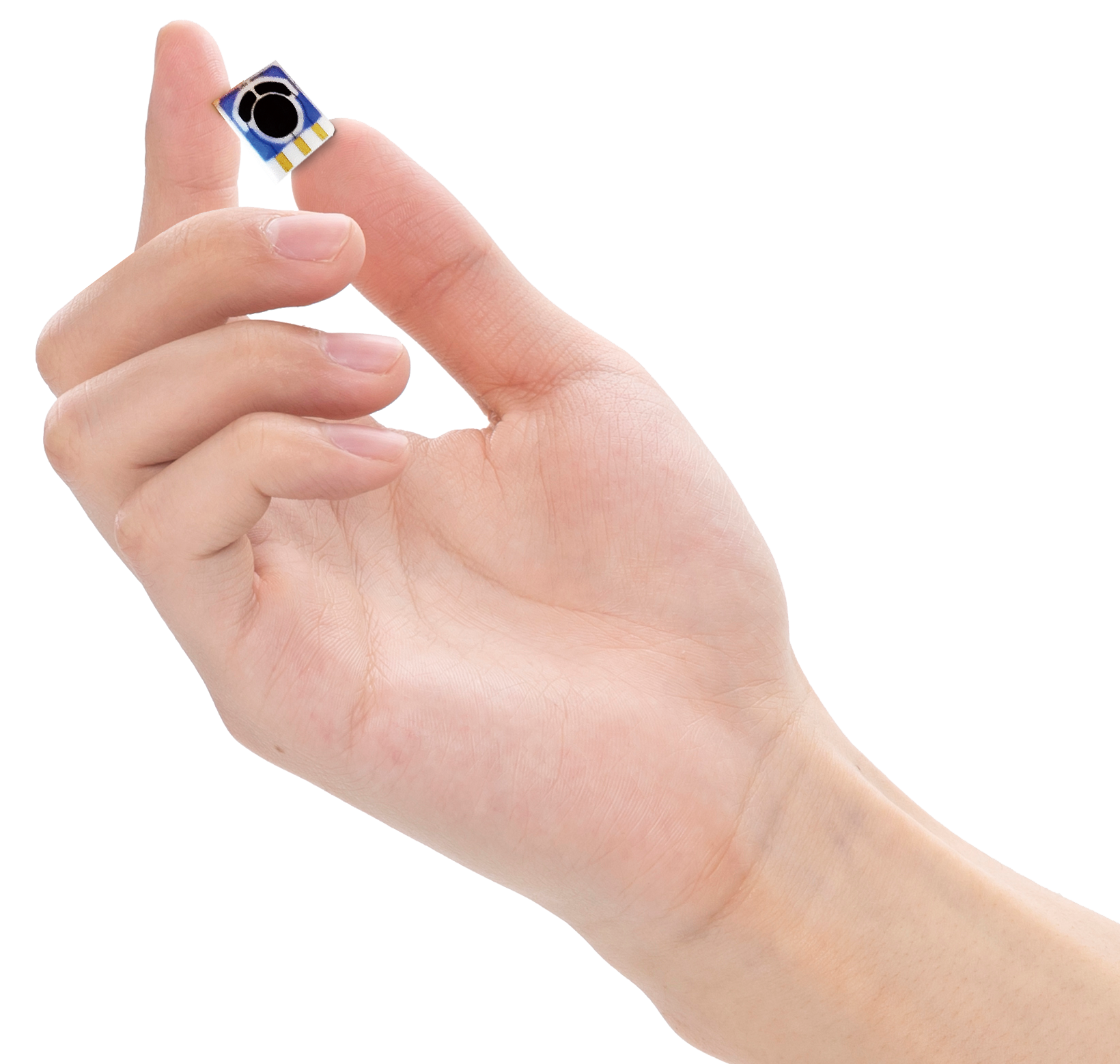 & Main Page Introduction Text